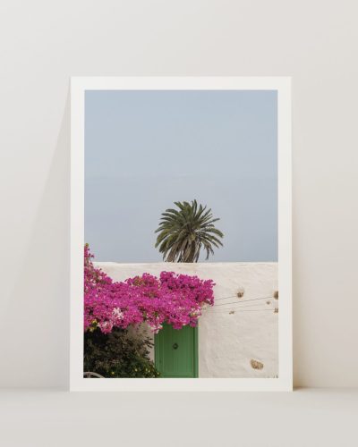 Buganvilla Art Print